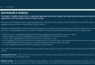 CasinoMax Responsible Gaming desktop