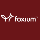Image of Foxium Logo taken on 01.10.2024