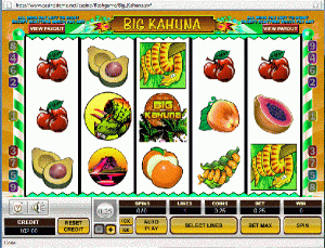 big_kahuna_salus