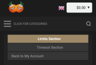CasinoCasino Responsible Gambling Settings Mobile Device View 
