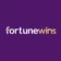 Fortune Wins Casino