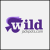 Logo image for Wild Jackpots Casino