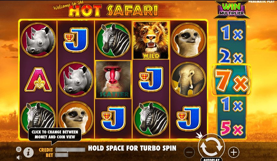 hot safari by pragmatic play