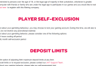 spin palace responsible gaming