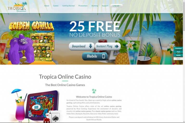 Casino Casino