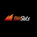 wildslots-logo