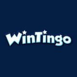 wintingo-casinomeister-review